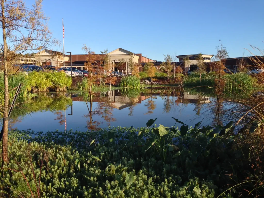 Abuilding with a pond and nature that features in the front.