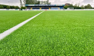 synthetic pitch project