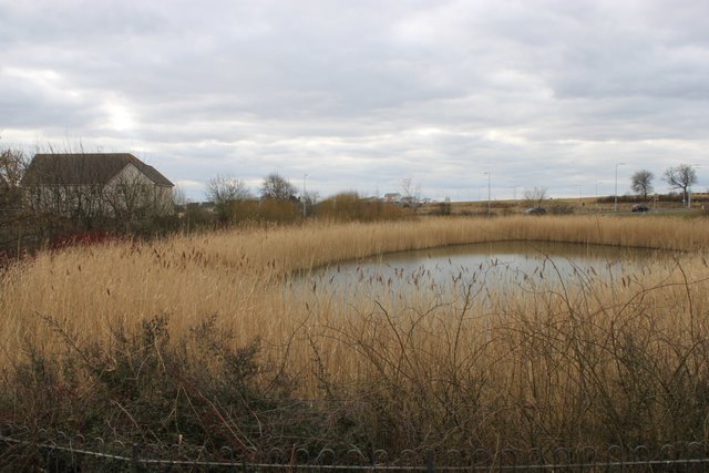 suds bioretention pond