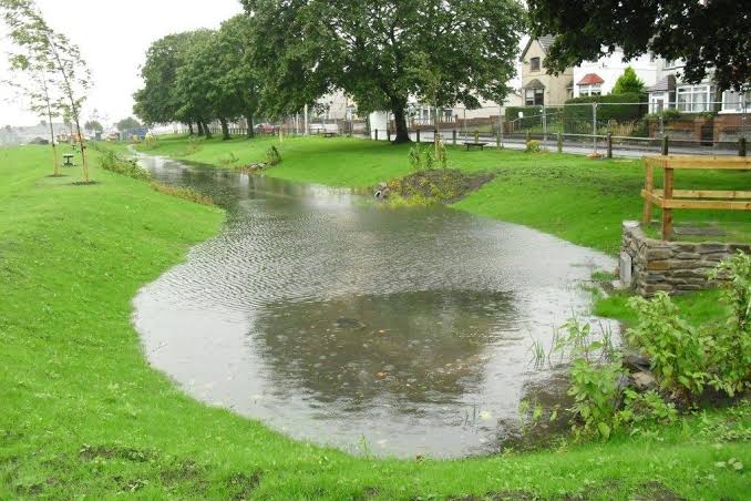suds swale