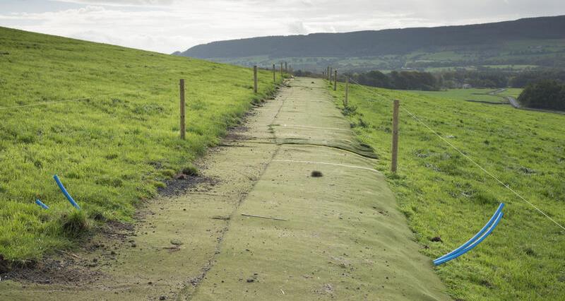 synthetic turf cattle track